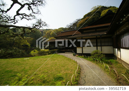 Yokohama Sankei Park Lin Chun Authority 39502719