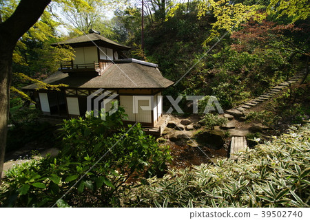 橫濱三溪花園聽力拍賣行 橫濱三溪花園聽力拍賣行 39502740