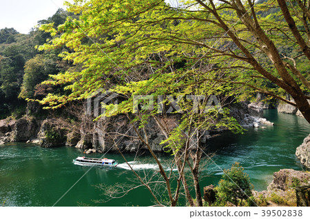 紹夏水射流 紹夏水射流 39502838