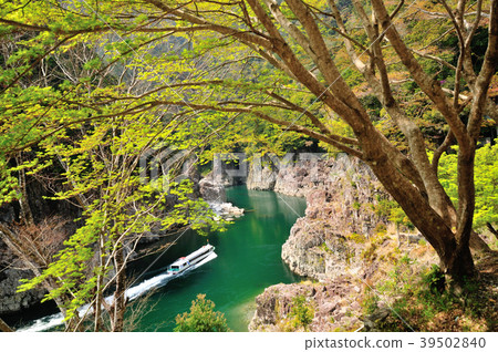 Shaoxia water jet ship 39502840