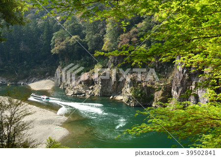 Shaoxia water jet ship 39502841