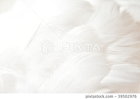 背景材料羽毛 背景材料羽毛 39502976