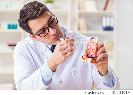 Young dentist working in the dentistry hospital 39503019