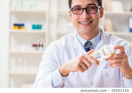 Young dentist working in the dentistry hospital Young dentist working in the dentistry hospital 39503140