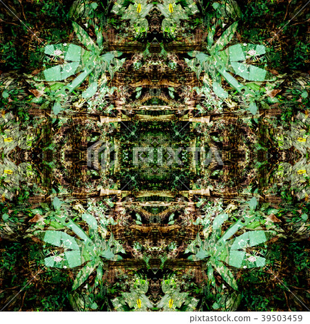 Green leaves pattern with drop of water Green leaves pattern with drop of water 39503459