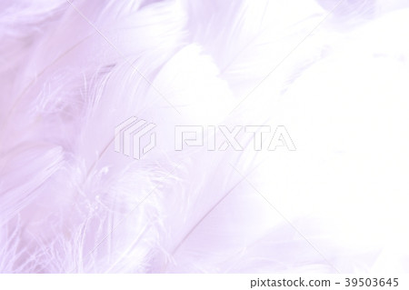 背景材料羽毛 背景材料羽毛 39503645
