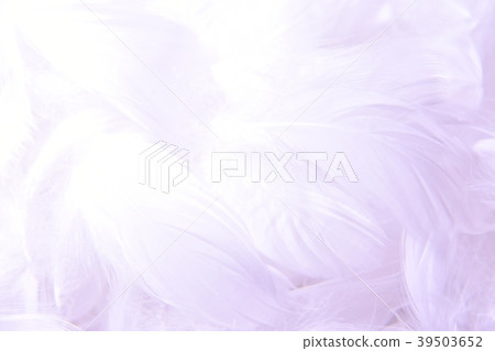 Background material Feather Feather 39503652