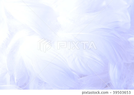 背景材料羽毛 39503653