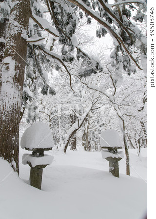 Okamisan Shrine接近降雪 Okamisan Shrine接近降雪 39503746