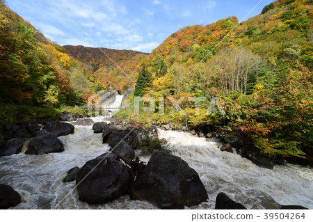 Mt. Nagara Falls autumn leaves Mt. Nagara Falls autumn leaves 39504264