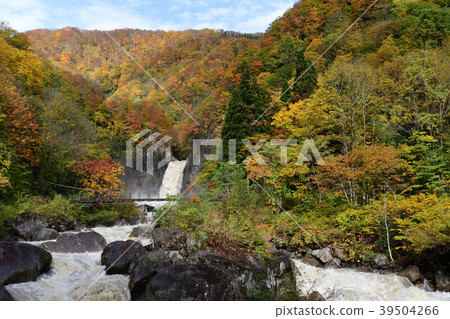 Mt. Nagara Falls autumn leaves 39504266