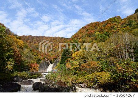 Mt. Nagara Falls autumn leaves 39504267