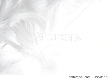 背景材料羽毛 背景材料羽毛 39504550
