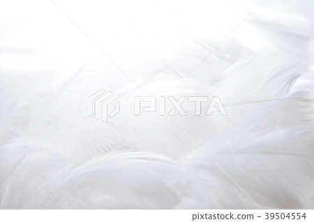 背景材料羽毛 背景材料羽毛 39504554