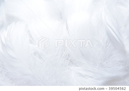 背景材料羽毛 39504562