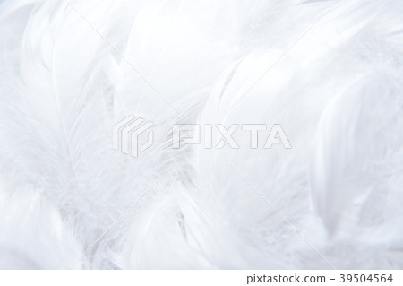 背景材料羽毛 背景材料羽毛 39504564