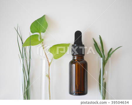 natural skincare cosmetic and organic green leaf 39504634