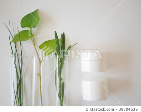 natural skincare cosmetic and organic green leaf natural skincare cosmetic and organic green leaf 39504639