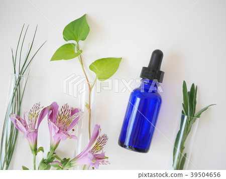 natural skincare cosmetic and organic green leaf 39504656