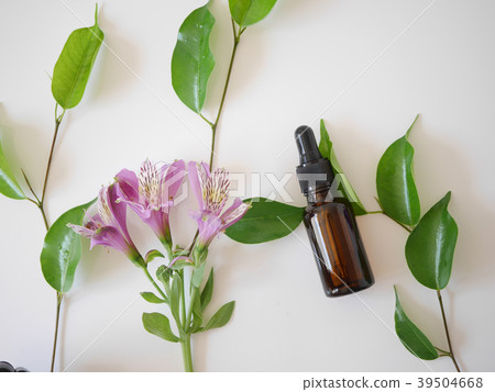 natural skincare cosmetic and organic green leaf 39504668