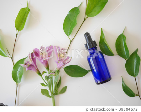 natural skincare cosmetic and organic green leaf 39504672