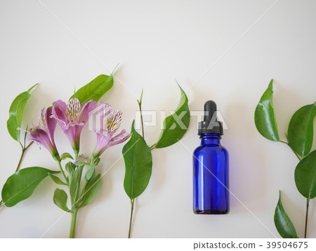 natural skincare cosmetic and organic green leaf natural skincare cosmetic and organic green leaf 39504675