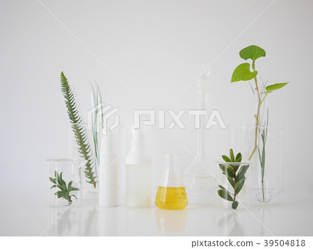 natural skincare cosmetic and organic green leaf. natural skincare cosmetic and organic green leaf. 39504818