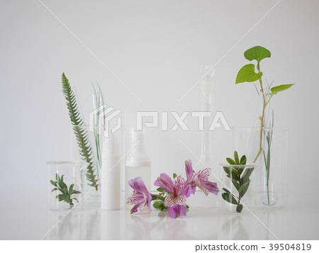 natural skincare cosmetic and organic green leaf. natural skincare cosmetic and organic green leaf. 39504819