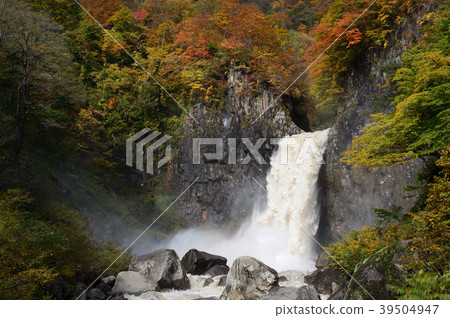 Mt. Nagara秋天秋葉 39504947