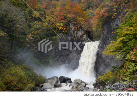 Mt. Nagara Falls autumn leaves 39504952