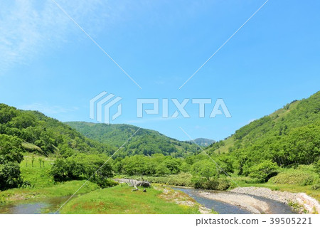 Shiretoko of Hokkaido summer 39505221