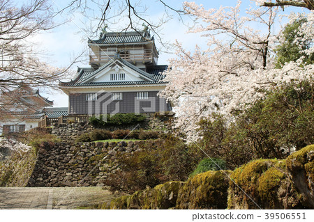 Cherry blossoms of Echizen Ono Castle 39506551