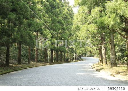 Musashirin公墓(多摩Gorin)八王子市表參道和北山雪松森林 Musashirin公墓(多摩Gorin)八王子市表參道和北山雪松森林 39506630