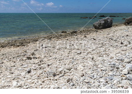 Shiraho Beach (Ishigaki Island) 39506839