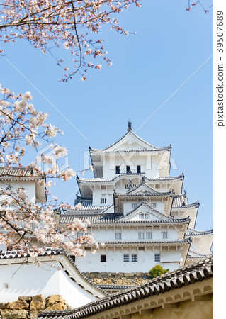 Cherry Blossoms with Blue Sky and Himeji Castle Great Temple Cherry Blossoms with Blue Sky and Himeji Castle Great Temple 39507689