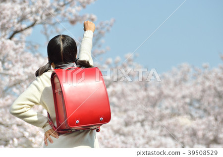 Sixth grader girl (cherry blossom, graduation, back view, casual) Sixth grader girl (cherry blossom, graduation, back view, casual) 39508529