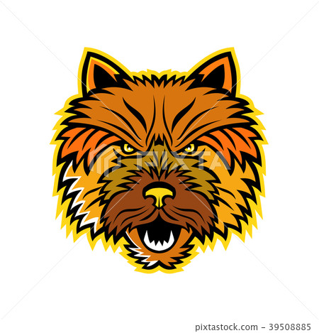 Norwich Terrier Mascot Front Norwich Terrier Mascot Front 39508885