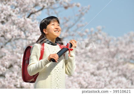 六年級女生(櫻花,畢業,休閒) 六年級女生(櫻花,畢業,休閒) 39510621