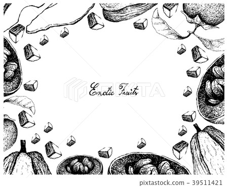 Frame of Australian Black Sapote and Chayote Frame of Australian Black Sapote and Chayote 39511421