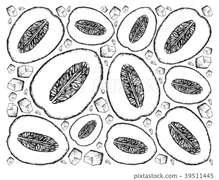 Hand Drawn Background of Honeydew Melon Fruits 39511445