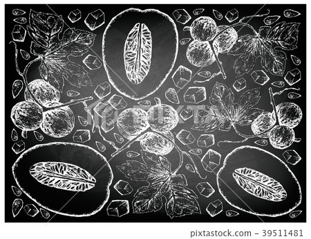 Diplocyclos Palmatus Fruits on Chalkboard Diplocyclos Palmatus Fruits on Chalkboard 39511481