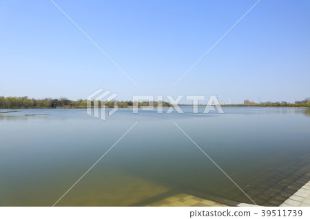 Scenery of Toda City, Saitama Prefecture: Lake Aya Scenery of Toda City, Saitama Prefecture: Lake Aya 39511739