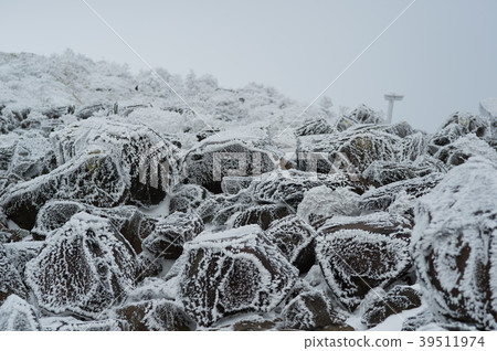 被摧毀的岩石 39511974