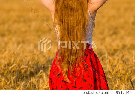 Girl with long hair from the back, in wheat field 39512143