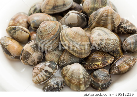 Asari Asari 39512239