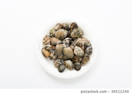 Asari Asari 39512240