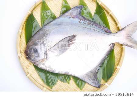 Managazuo ingredients 39513614