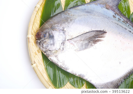 Managazuo ingredients Managazuo ingredients 39513622