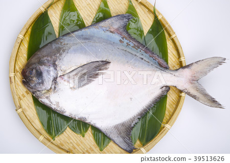 Managazuo ingredients Managazuo ingredients 39513626