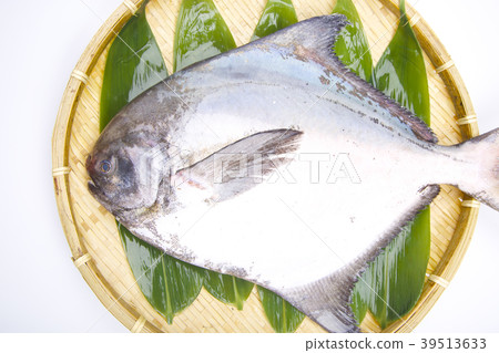 Managazuo ingredients 39513633